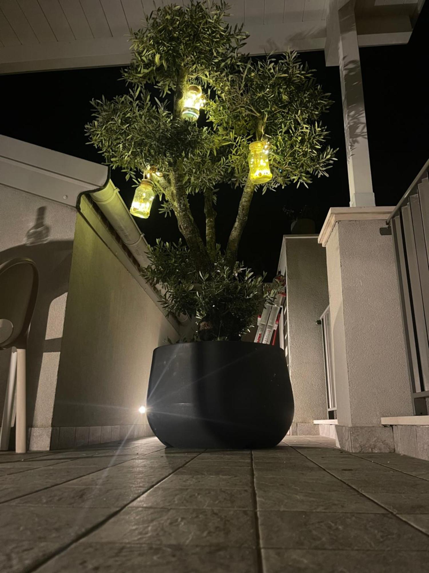 La Casa Di Filo Boutique Bed and Breakfast Roseto Degli Abruzzi Εξωτερικό φωτογραφία